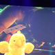 Image for article titled Microsoft E3 Keynote Archive